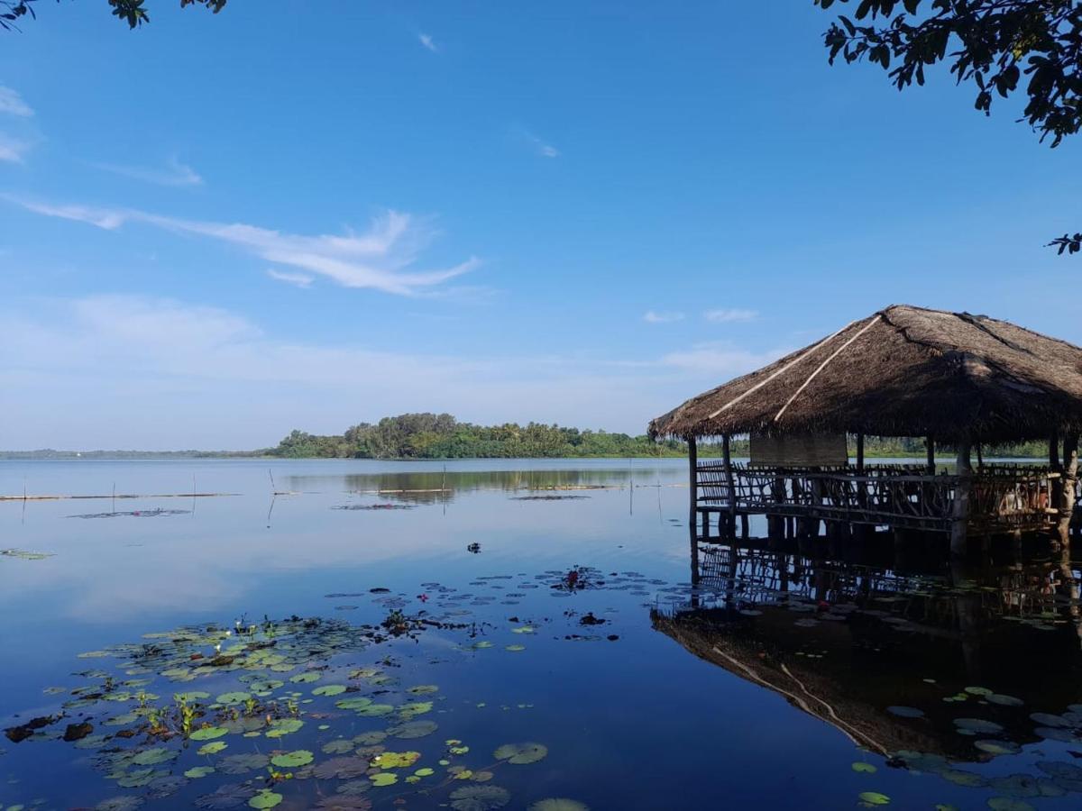 Lake Resort Bolgoda Wadduwa Exterior foto